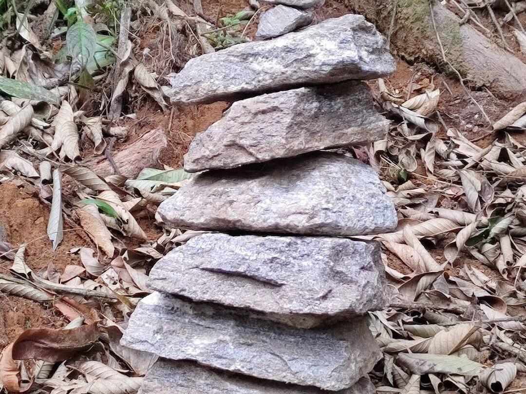 Khecheopalri Lake-Pelling必去景点