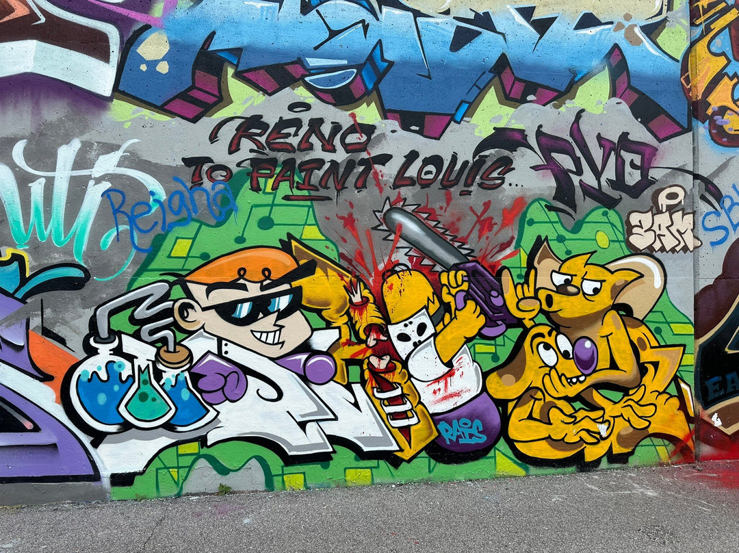 St. Louis Graffiti Wall景点图片