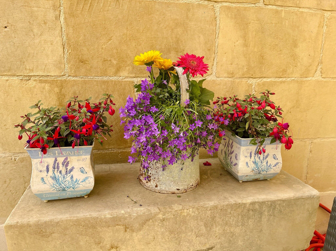 Ellie Boo Bed & Breakfast主图