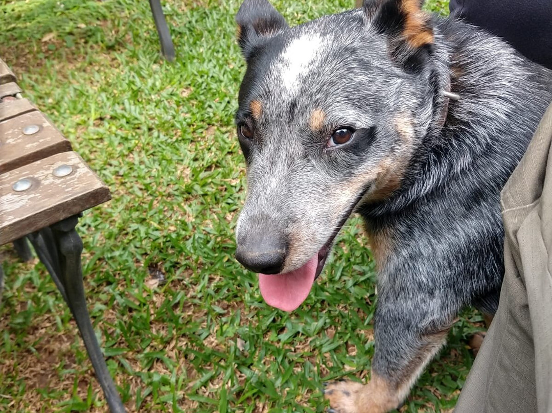 Cervejaria Bauzera-Sao Bento do Sapucai必去景点
