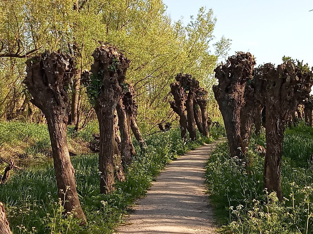 Carnisse Grienden景点图片