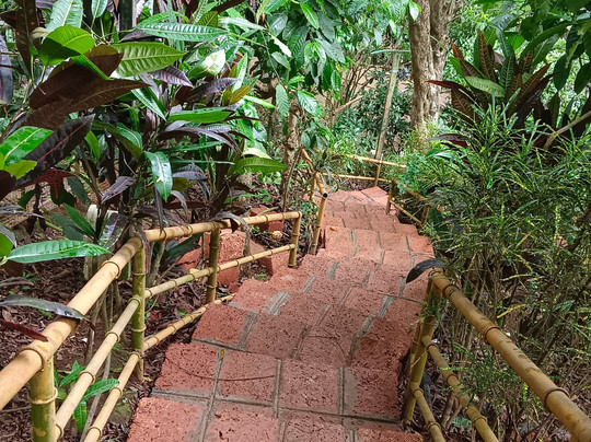 Planet Green Plantation Resort主图