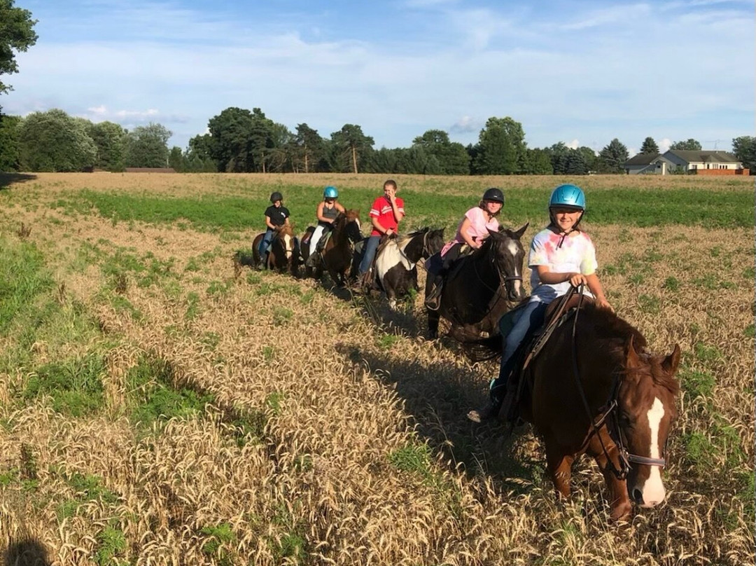 Northfork Farms & Outback-Webberville必去景点