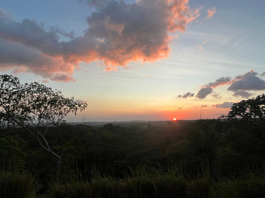Guayabo Animal Rescue-Guayabo必去景点