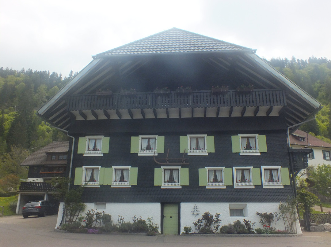 Altstadt Menzenschwand-Menzenschwand必去景点