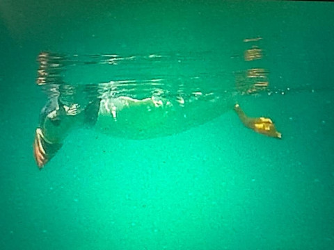 Toronto Scuba Centre-多伦多必去景点