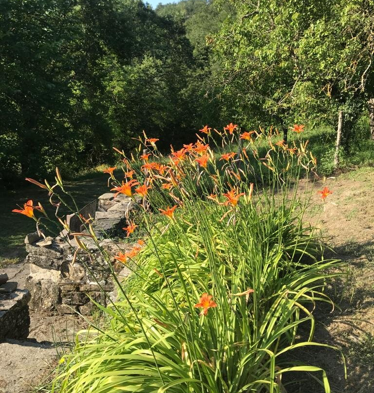 Agriturismo Priello主图