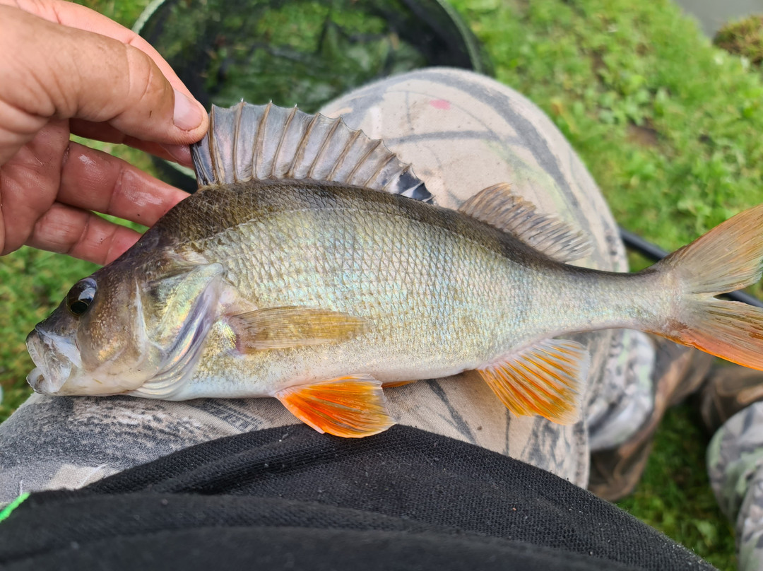 White Spring Fishery景点图片