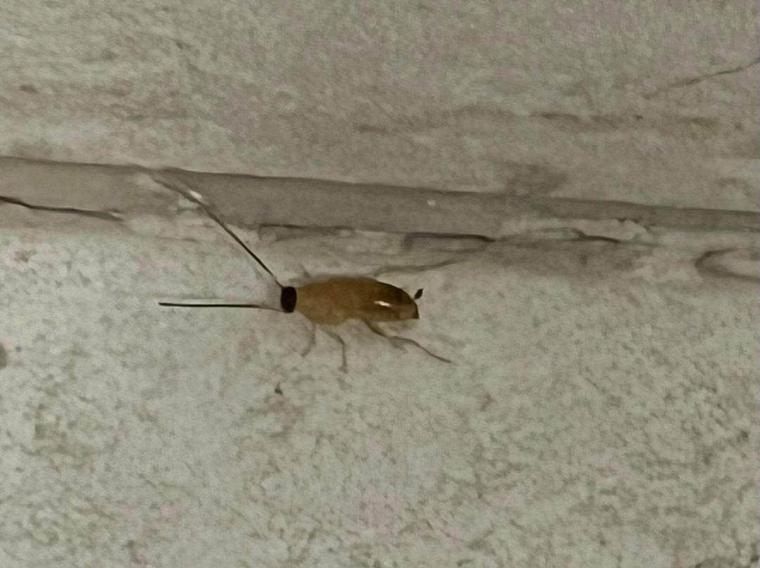 Hyatt Place Fort Worth Cityview主图