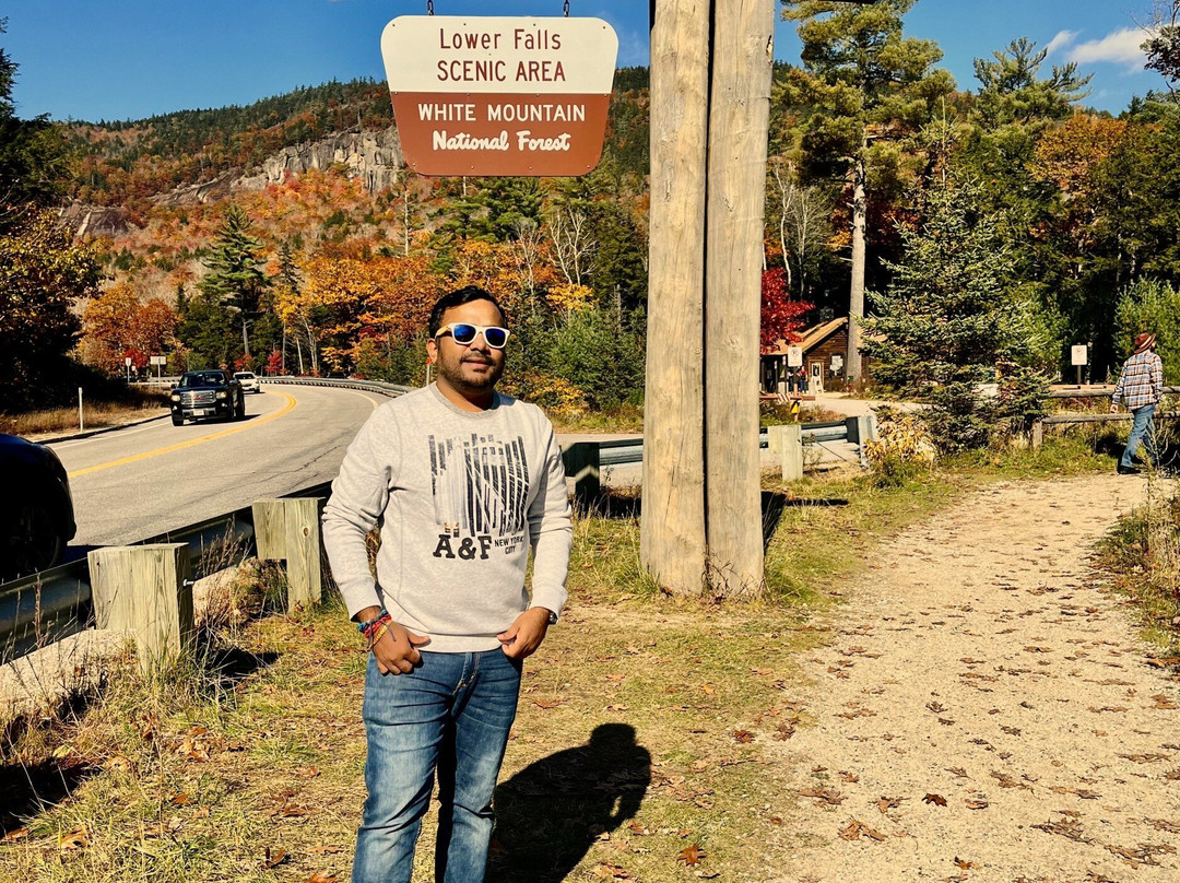 Lower Falls-Albany必去景点