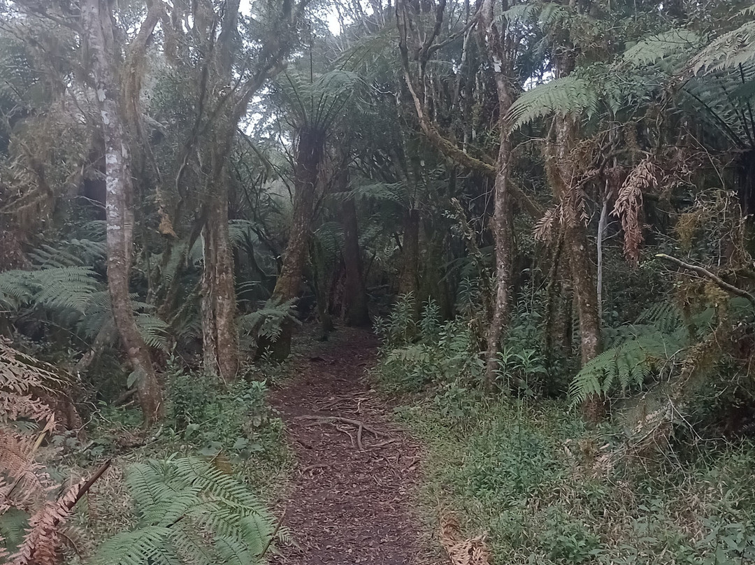 Pousada Flor de Tuna主图