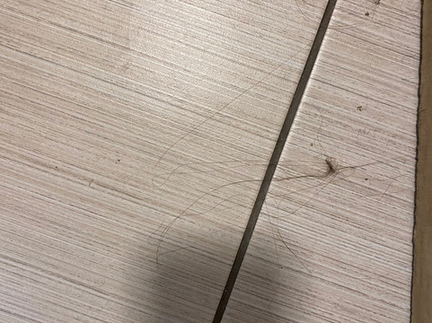 伊丽莎白城伊克诺旅馆