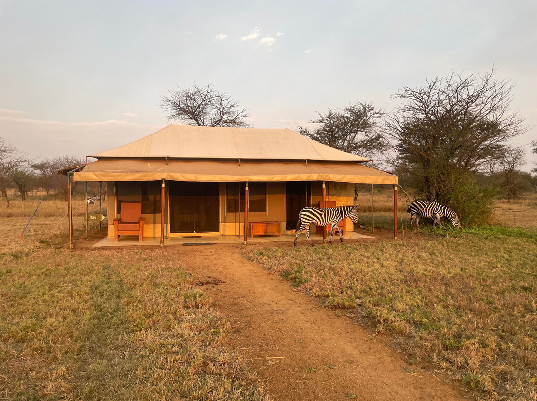Wild Candle African Safaris景点图片
