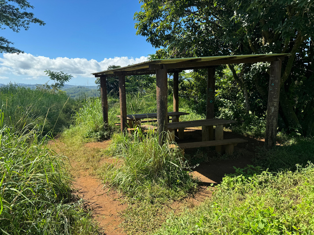 Kuilau Ridge Trail景点图片