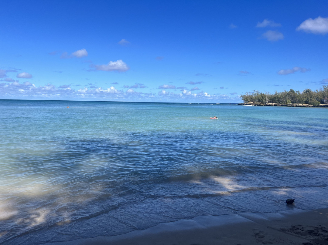 Shaka Kayaks-瓦胡岛必去景点