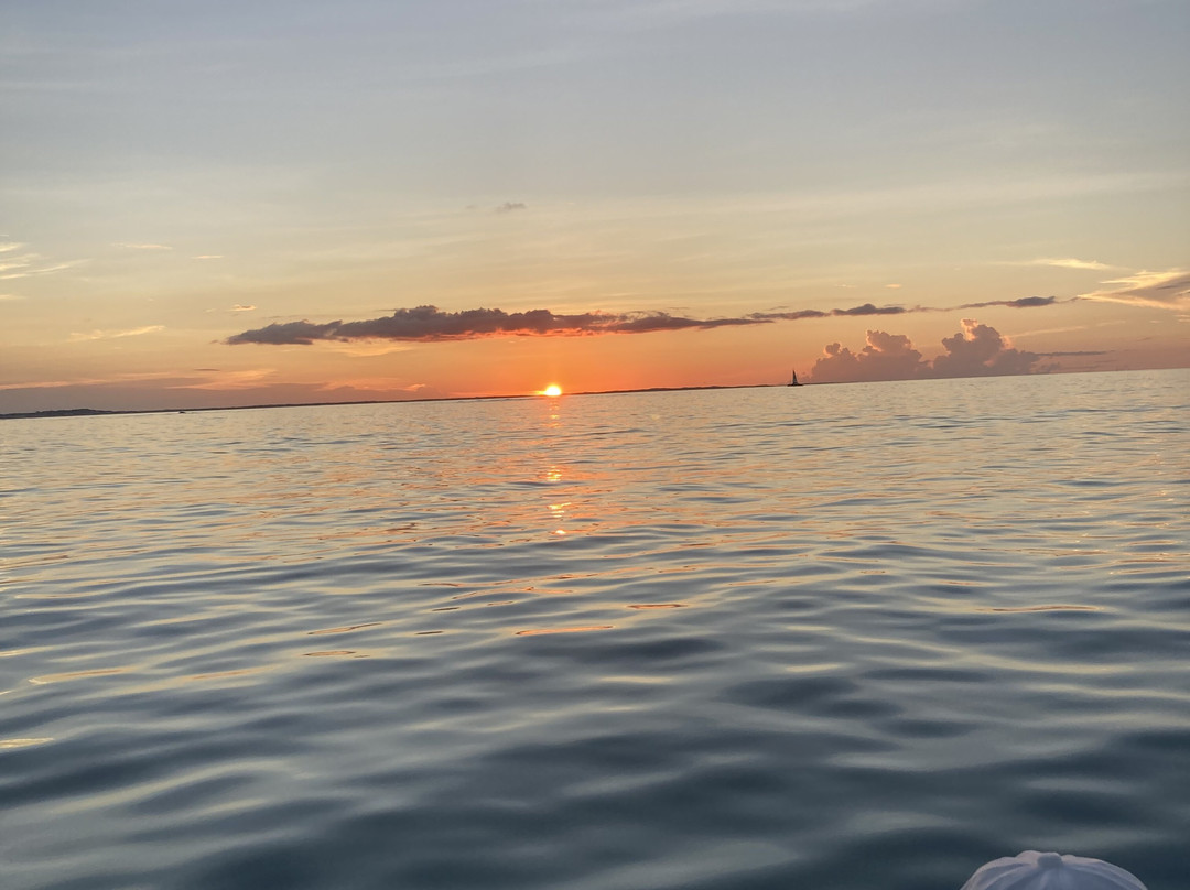 Island Seaduction Watersports & Tours-普罗维登西亚莱斯必去景点