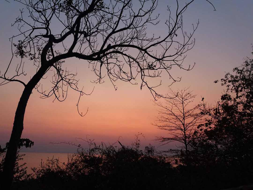 Pumulani Lodge - Robin Pope Safaris主图