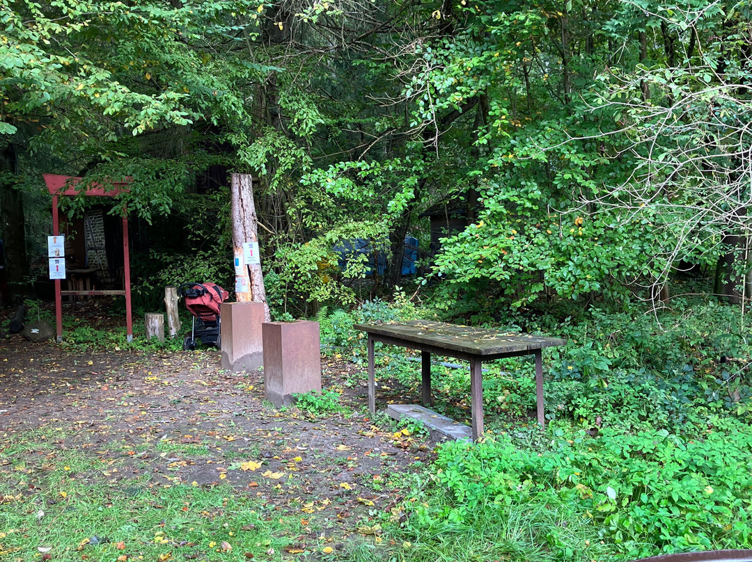 Naturum Göhrde Waldmuseum-Gohrde必去景点