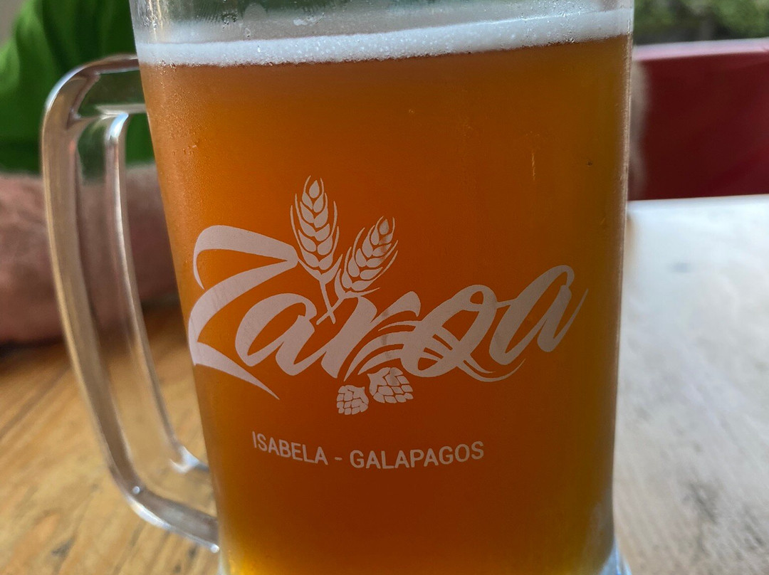 ZAROA Gastro Brewery-维里亚米尔港必去景点