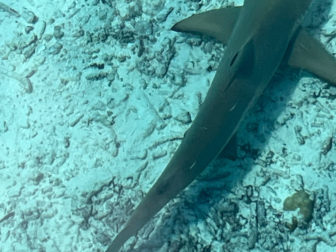 德瑞福特塞路维里加休闲酒店主图