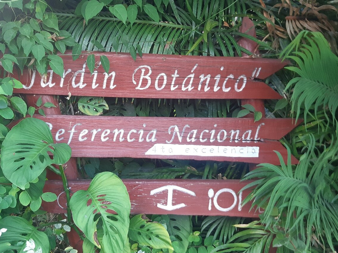 Jardin Botanico de Viñales-维纳勒斯必去景点