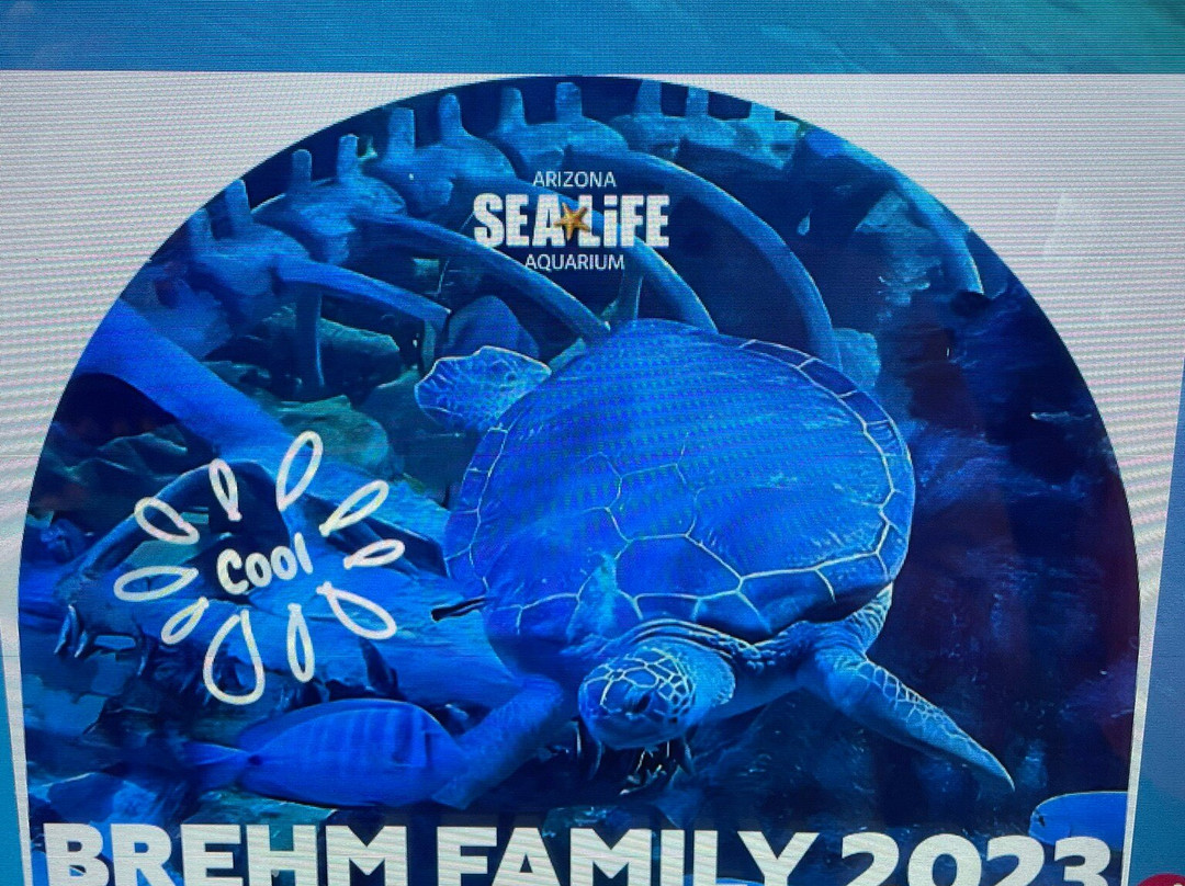 SEA LIFE Arizona Aquarium-坦佩必去景点