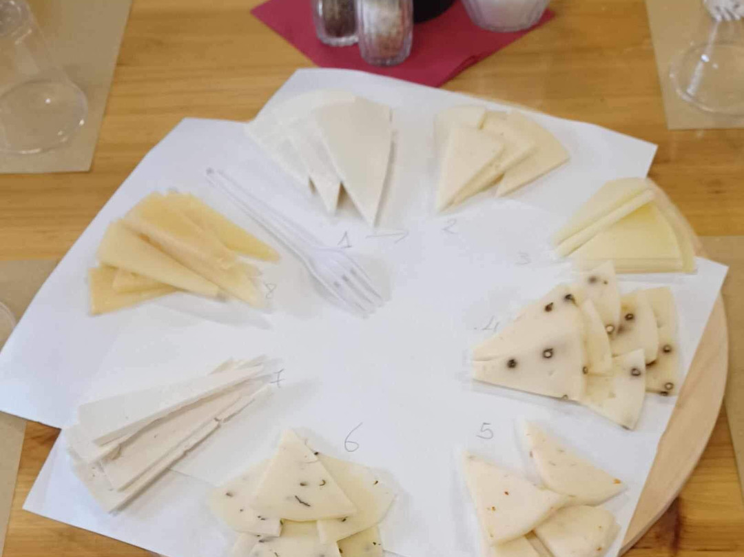 Fattoria Pianporcino-皮恩扎必去景点