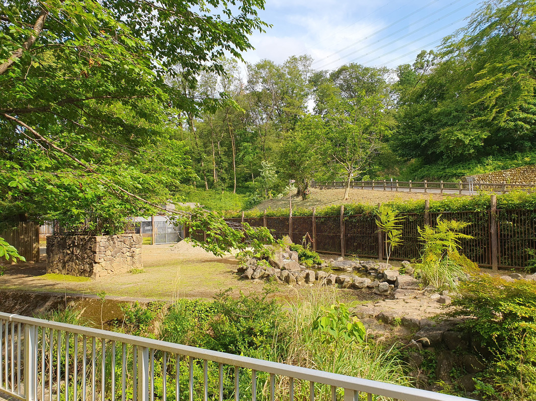 Tama Zoological Park景点图片