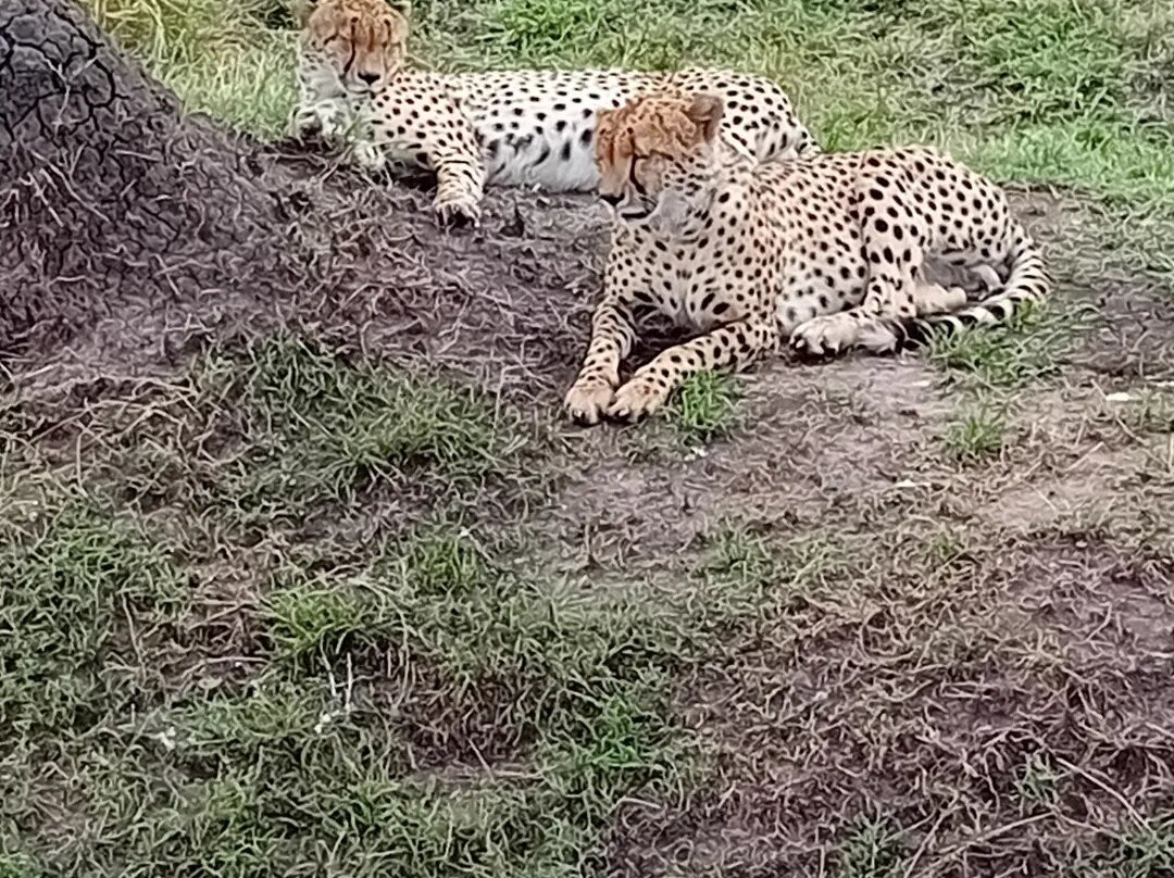 Sindio Tours & Events-Kikuyu必去景点