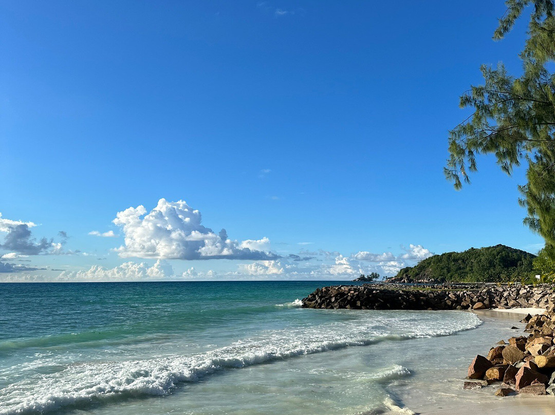 忘忧堡酒店主图