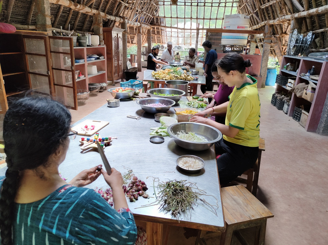 Sadhana Forest-Auroville必去景点