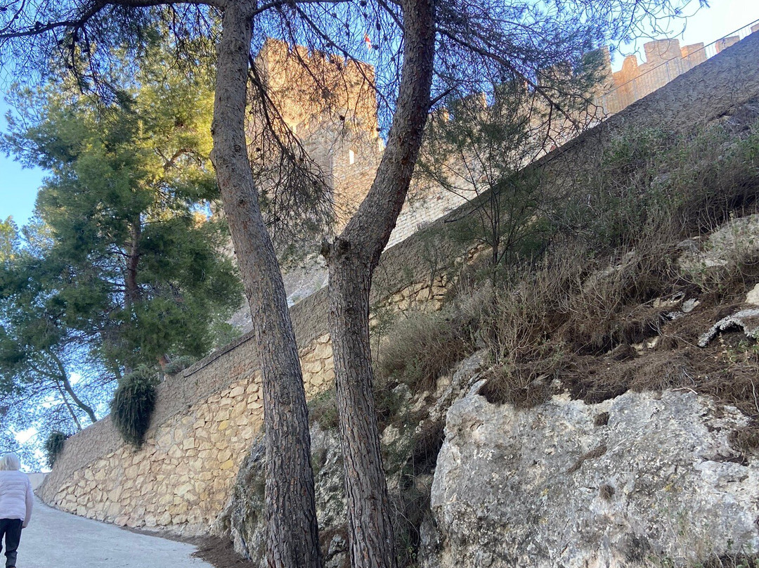Castillo de Sax景点图片