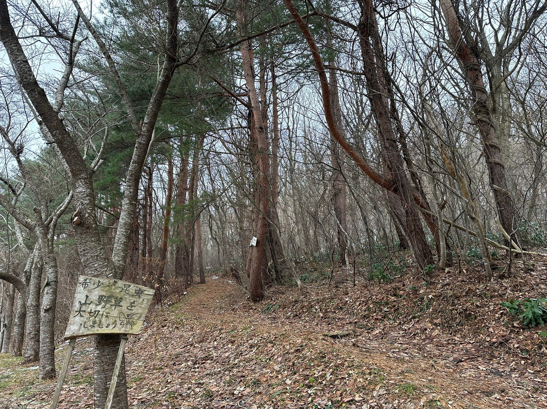 Asamushi Onsen Forest Park-青森市必去景点