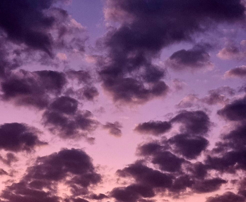 Jawharat Bidiyah Resort主图