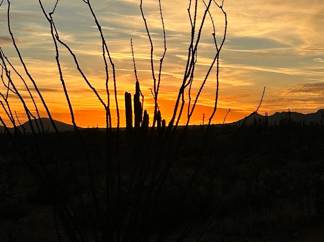 Scottsdale Adventure Tours-斯科茨代尔必去景点