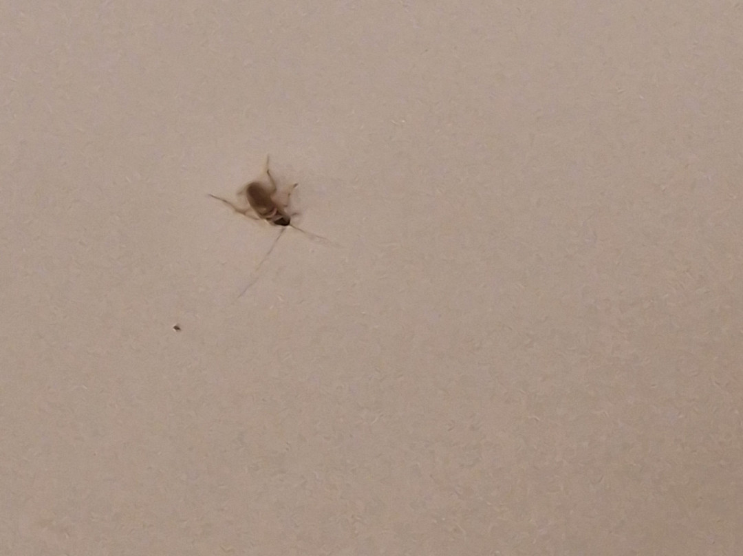 Sun Beach Hotel主图