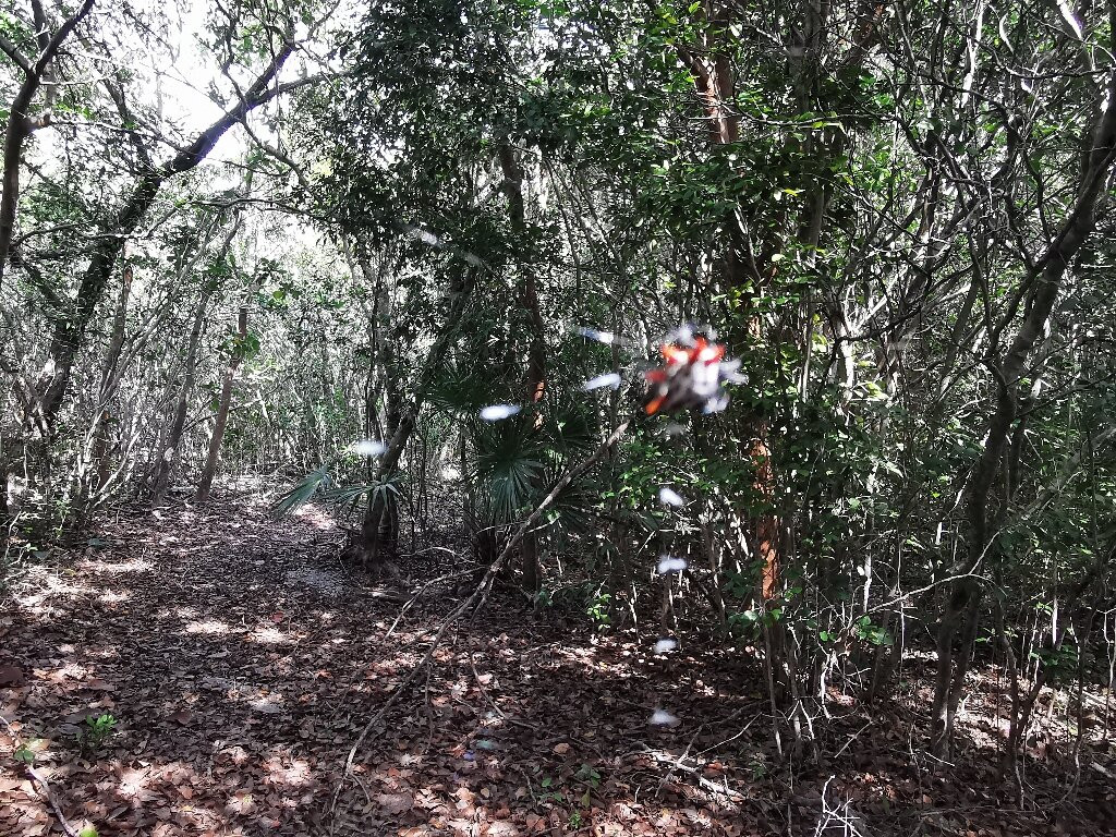 Adams Key-比斯坎国家公园必去景点