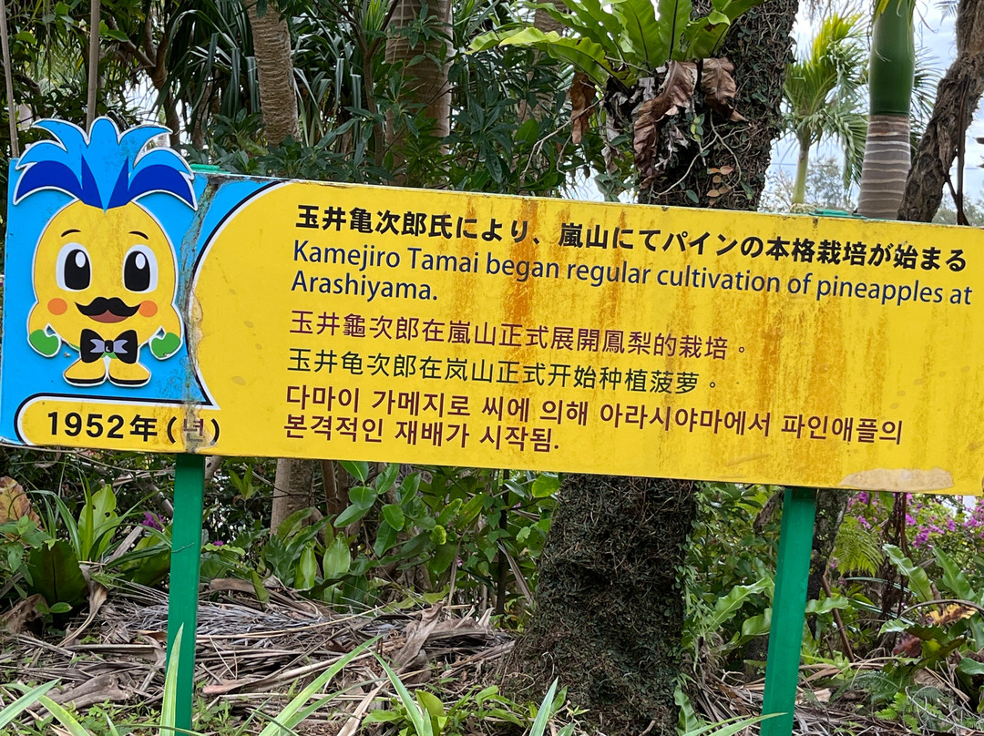 名护菠萝园-名护市必去景点