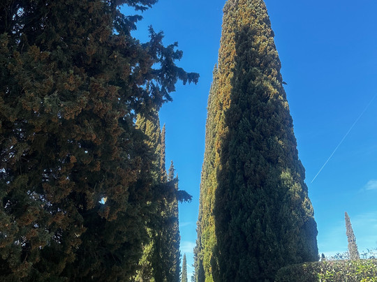 Agriturismo Vecchio Borgo di Inalbi主图