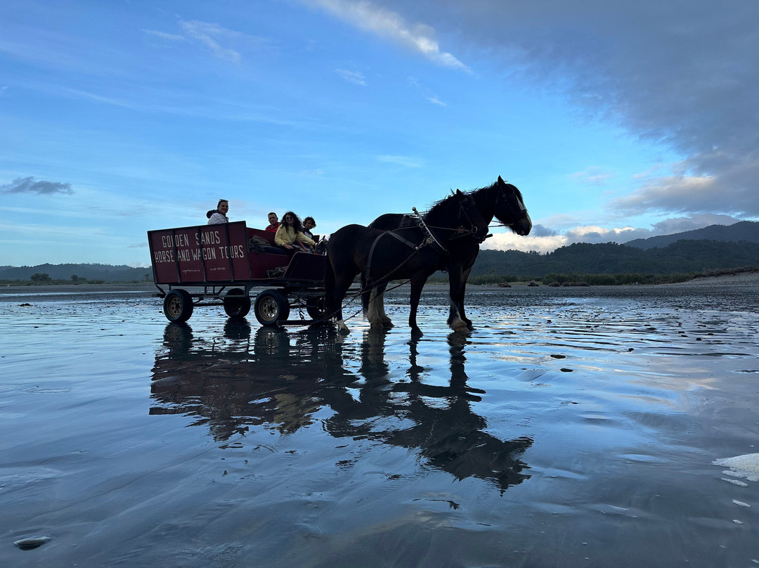 Golden Sands Horse and Wagon Tours景点图片