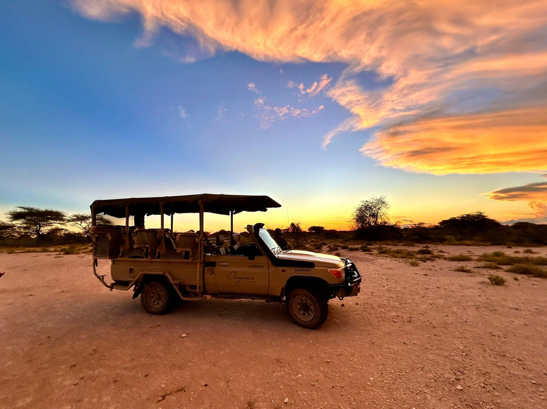 Namibia Tours & Safaris景点图片