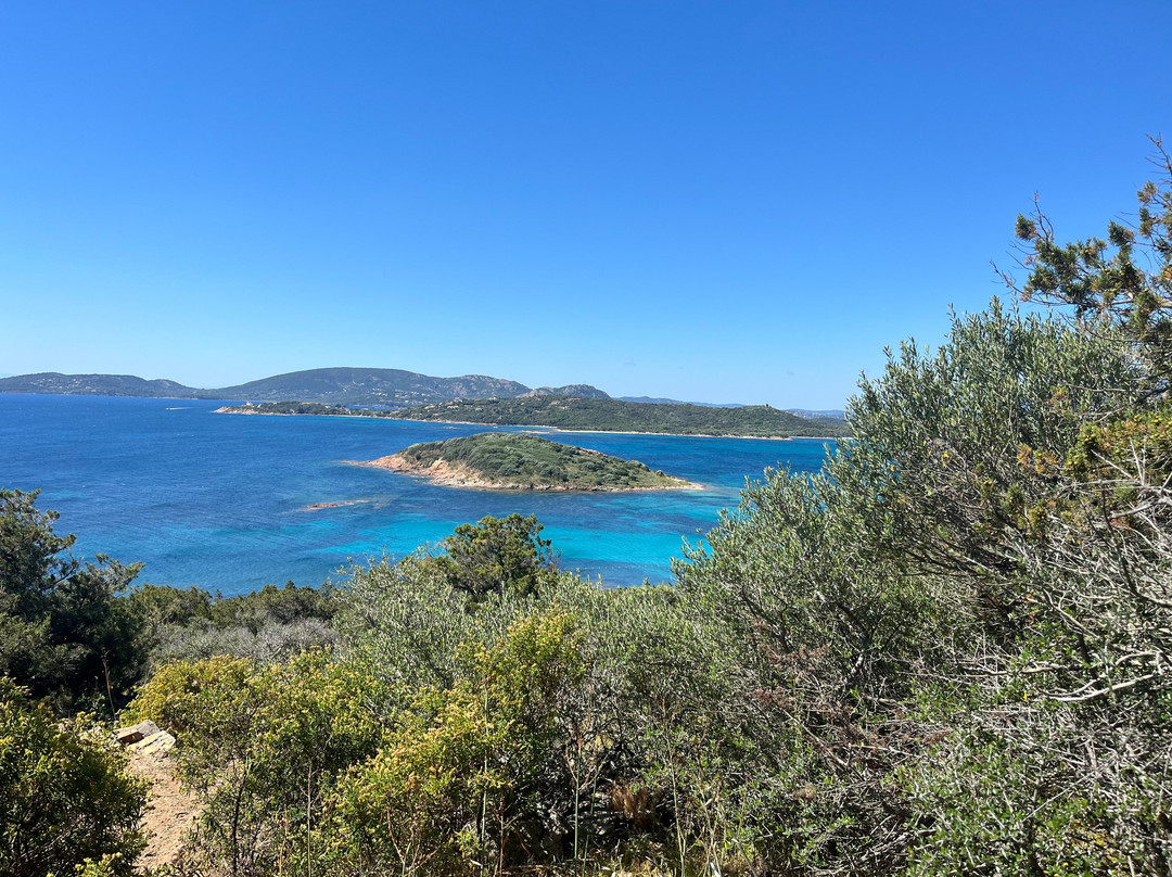 Plage Saint-Cyprien