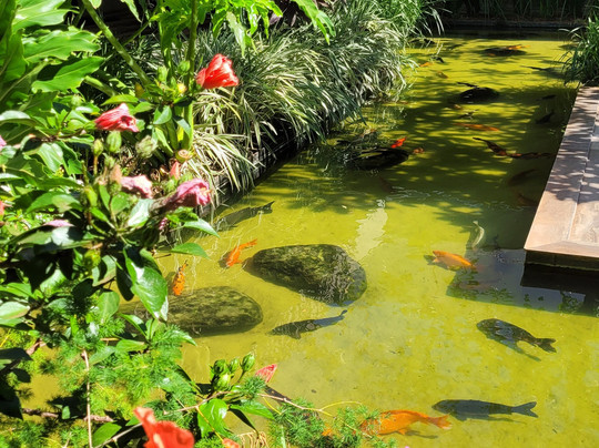 Décio Restaurante主图