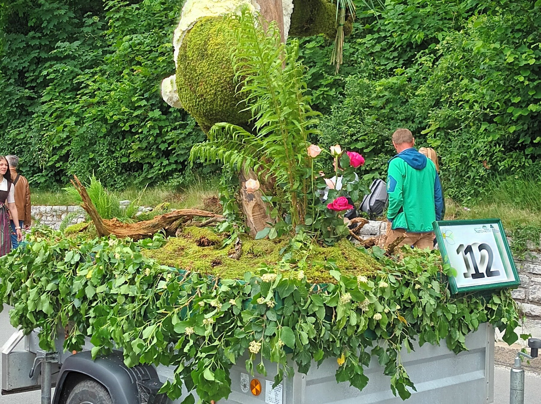 Narzissenfest