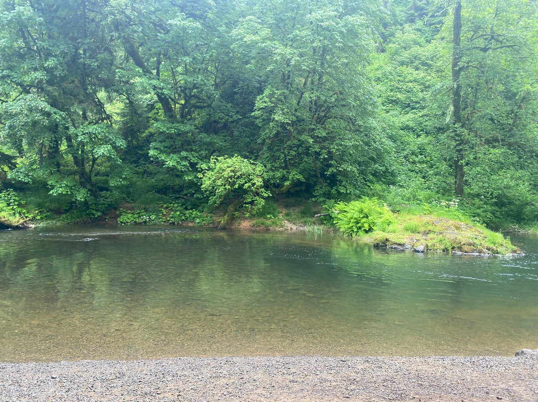 Young River Falls-阿斯托里亚必去景点