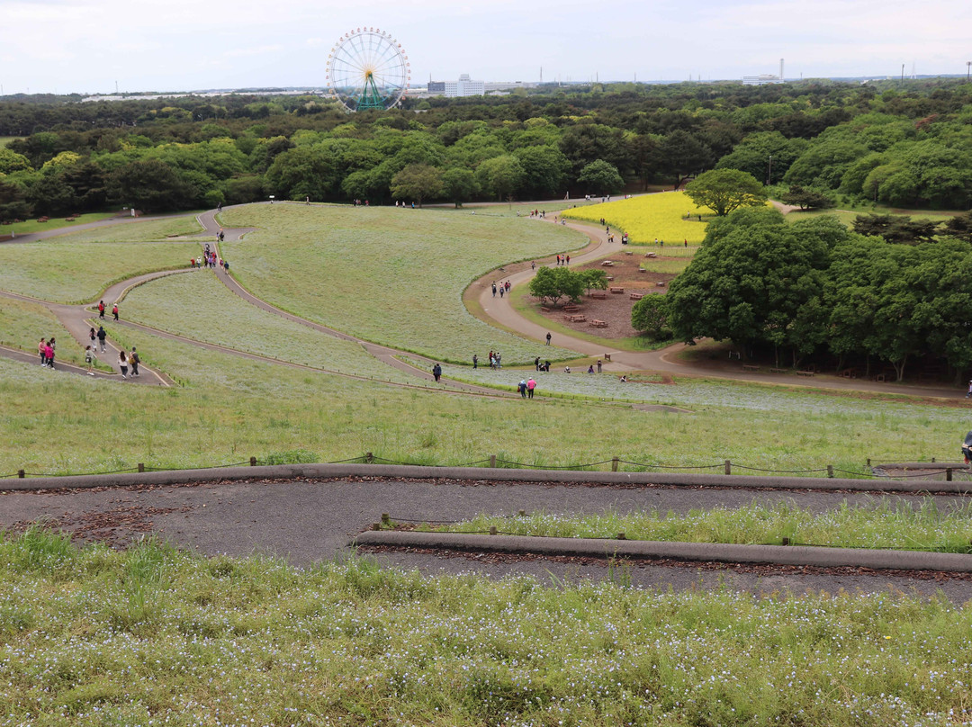 Miharashi no Oka-常陆那珂市必去景点
