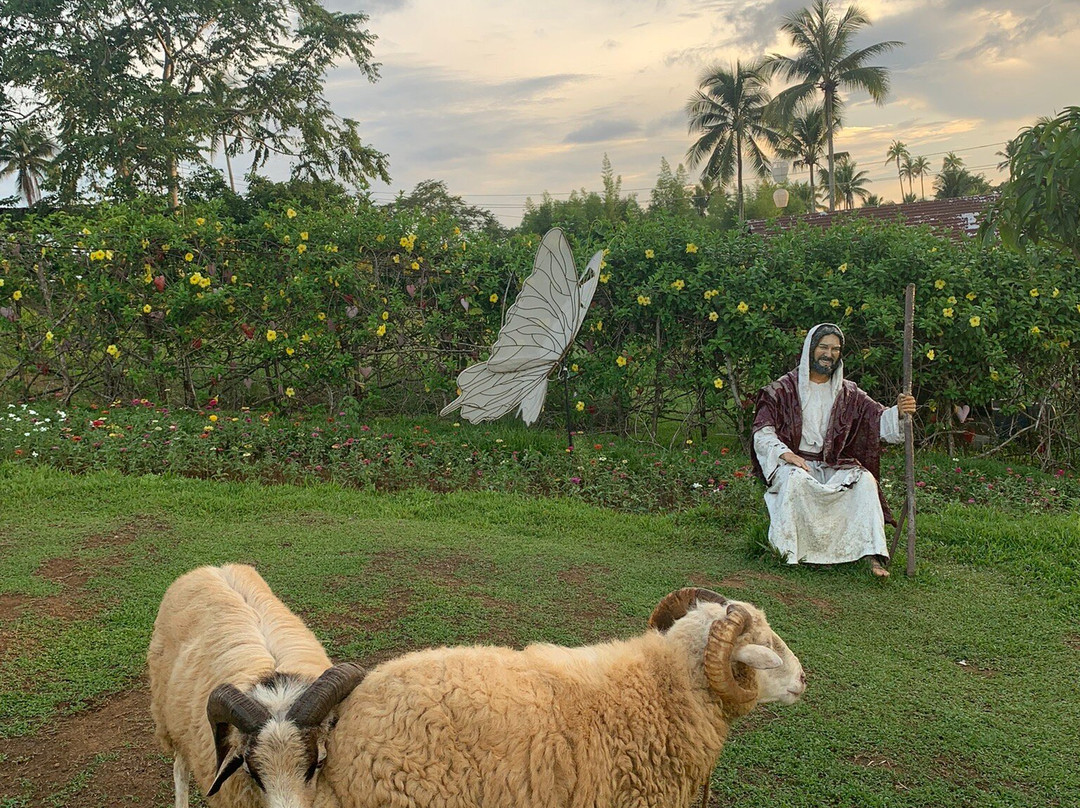 FarmPlate-Daraga必去景点