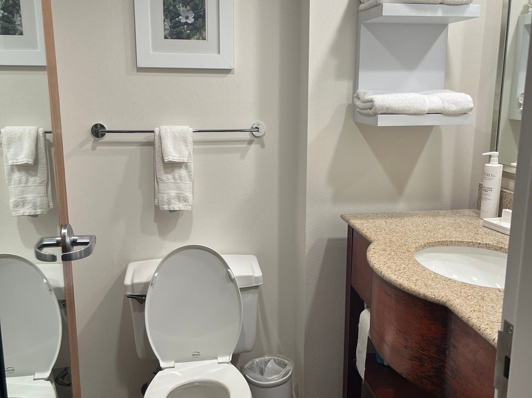 夏洛特/马修斯希尔顿恒庭酒店主图