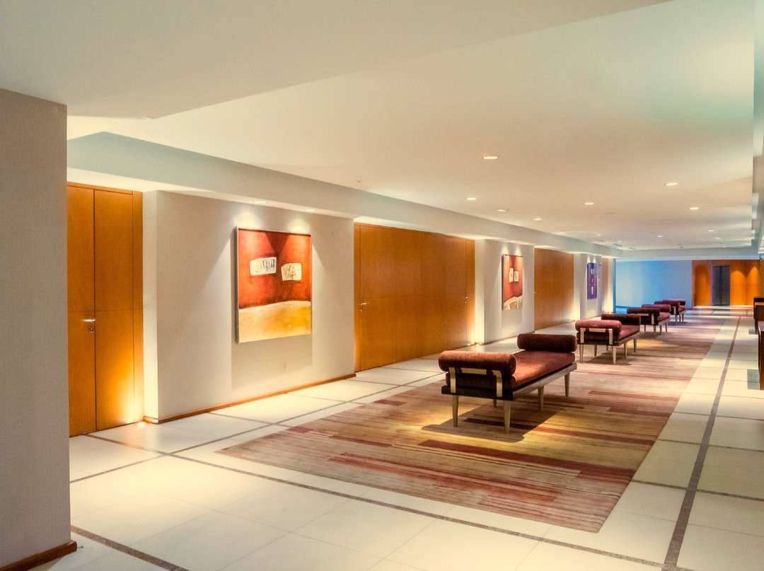 Hilton Mendoza主图