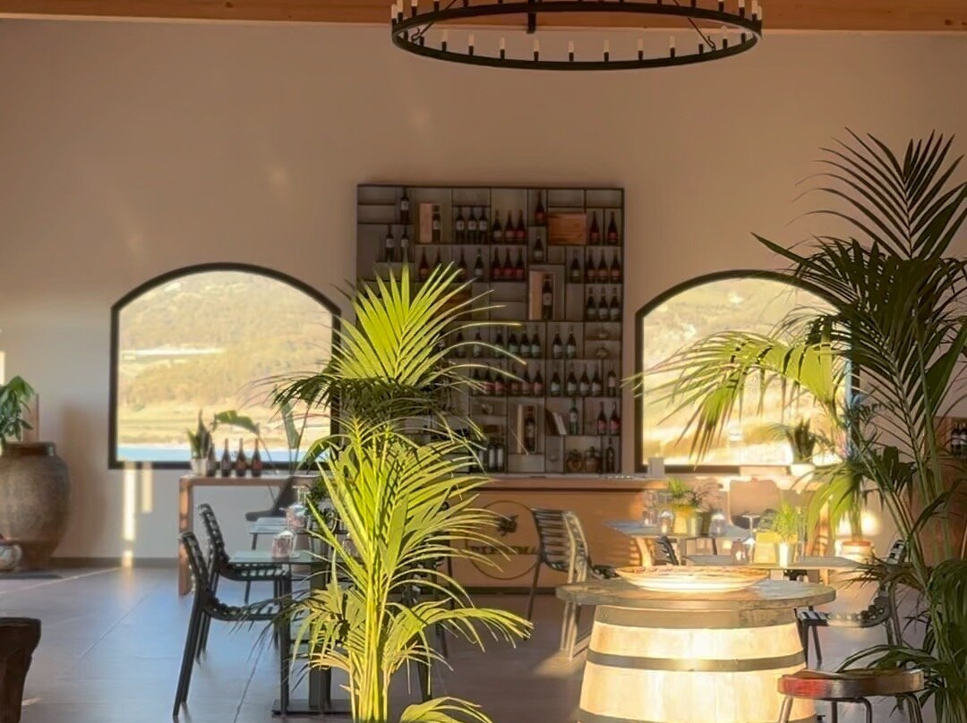 Cantina Di Prima景点图片